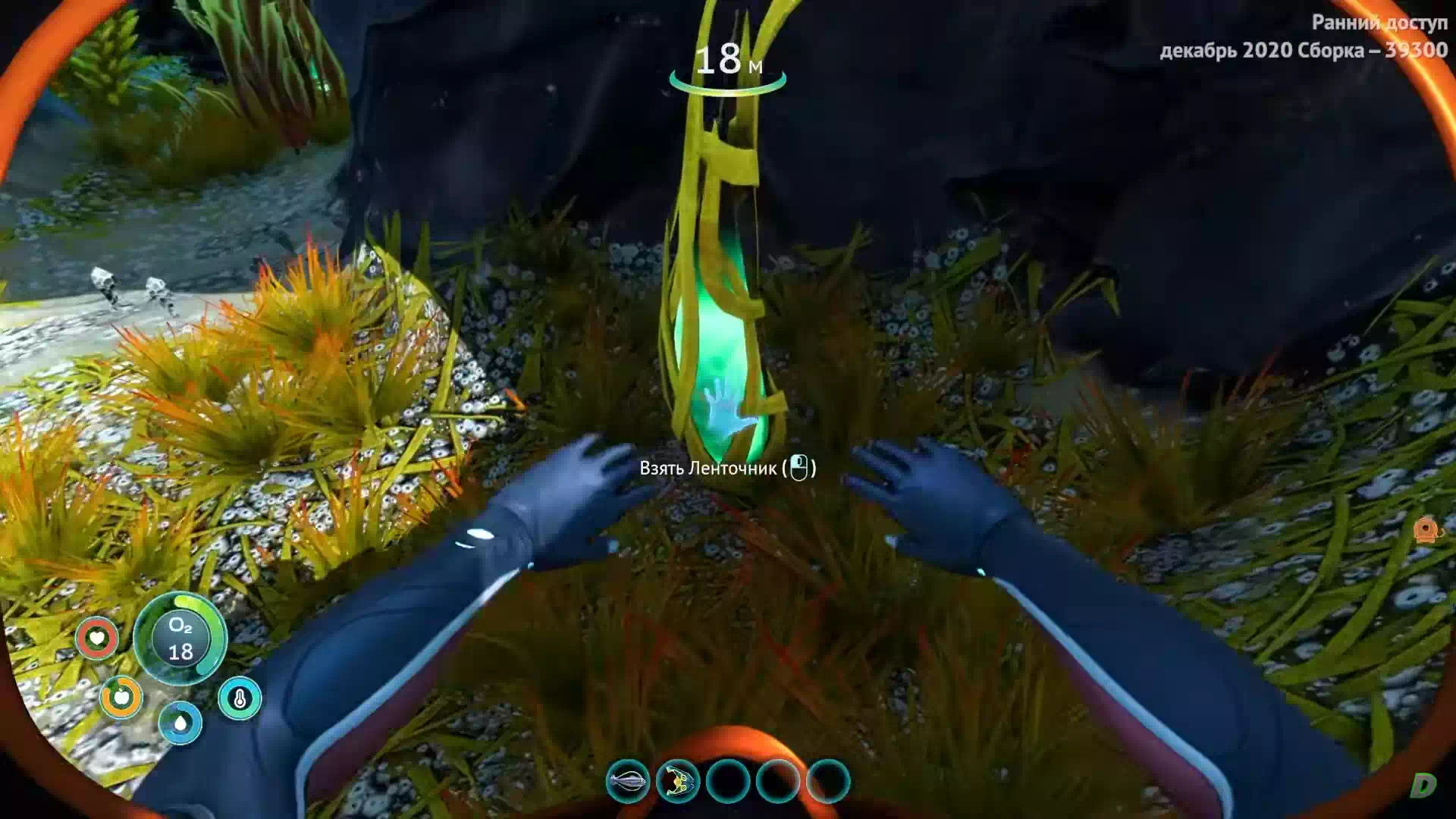 лампион subnautica. ленточник subnautica. Subnautica ленточник. сабнатика император морей. алан subnautica.